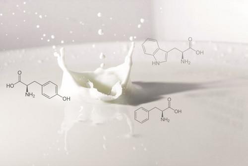 通過光學(xué)光譜和激光衍射對牛奶化合物進行表征